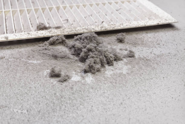 Best Air Duct Cleaning Near Me  in Howard Lake, MN