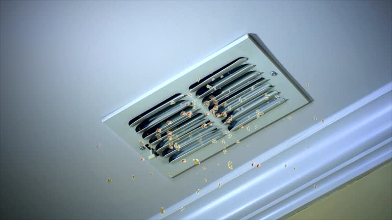 Best Ventilation Cleaning Services  in Howard Lake, MN
