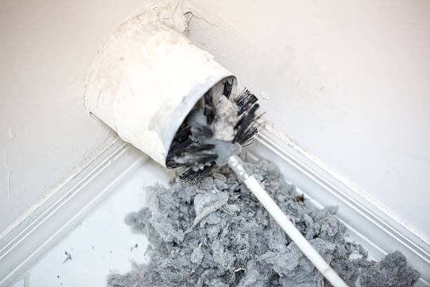 Best Affordable Air Duct Cleaning  in Howard Lake, MN